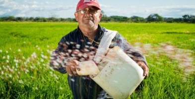 Diminuiscono gli operai agricoli assunti in Calabria: il 7,1% in meno del 2019